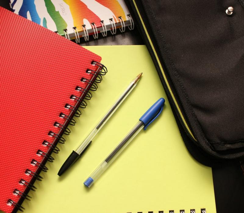 Cognera - Meten, weten, handelen